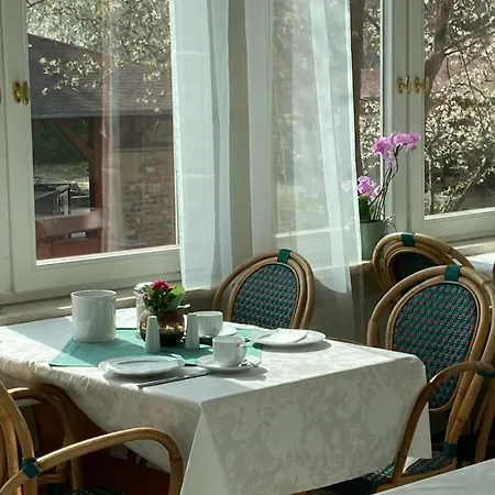 Stadt-gut-Hotel Hoffmanns Gästehaus-3