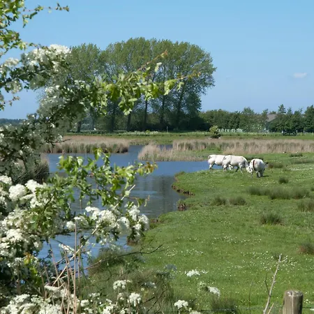 De Eenhoorn-2