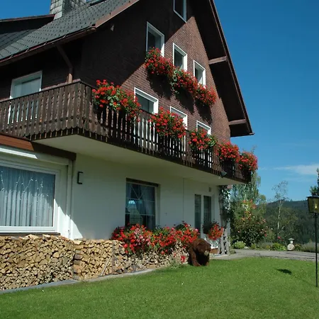 Hotel Diana-3