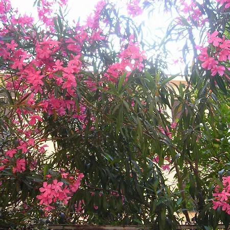 Residence Giusti 6-3