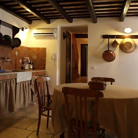 B&B Sabir-2