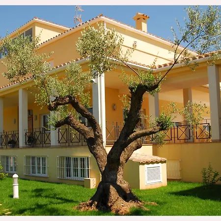Luz De Azahar Bed And Breakfast-2