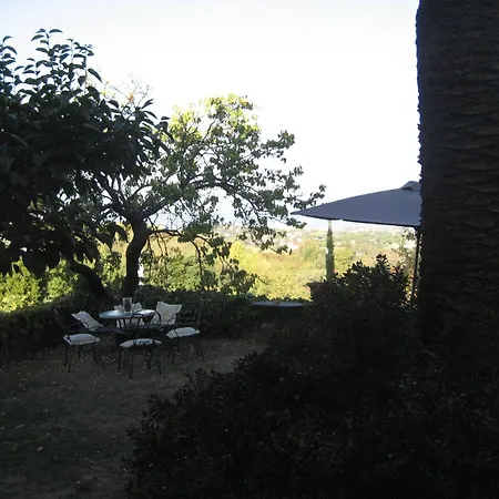 B&B Villa Panicucci-2