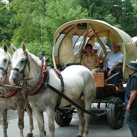 Hotel Frauensteiner Hof-2