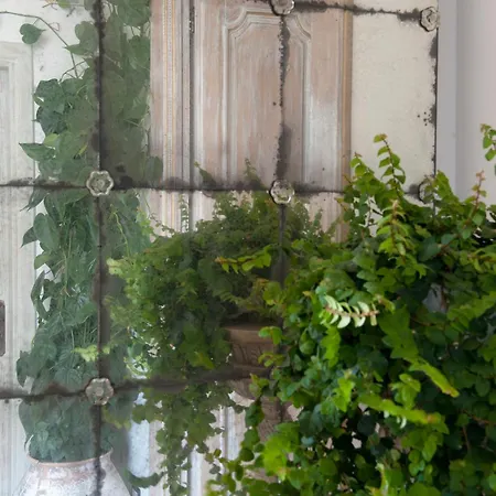 Casa Buonocore-2