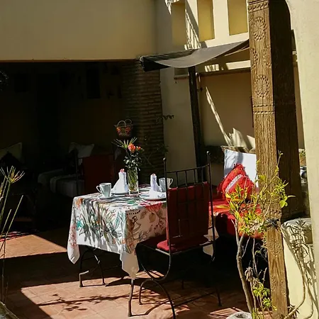 Riad Gallery 49 & Spa-2