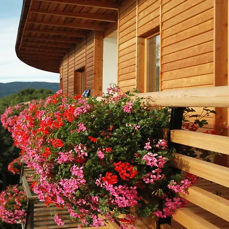 Dolomitenblick Alps Boutique Hotel-3