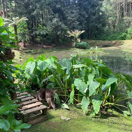 Chalets do Vale-3
