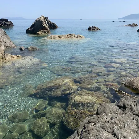 Il Fiore Bianco-2