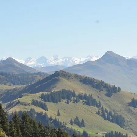 Pension Schmidinger-2