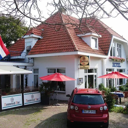 De Zilvermeeuw-2