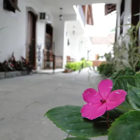 Pousada Doce Paraty-2