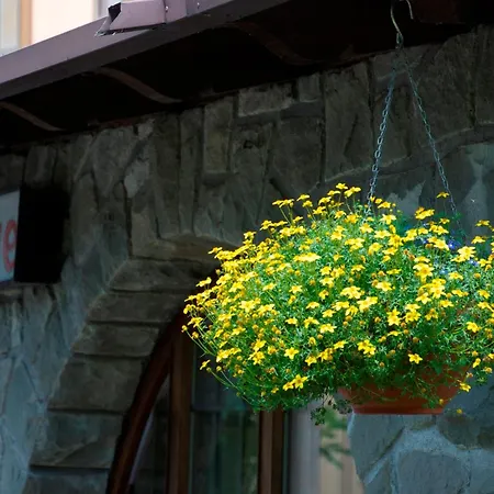 Albergo Bucaneve-2