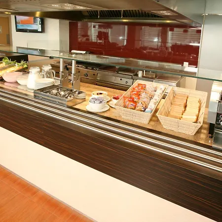 Ibis Chihuahua-2