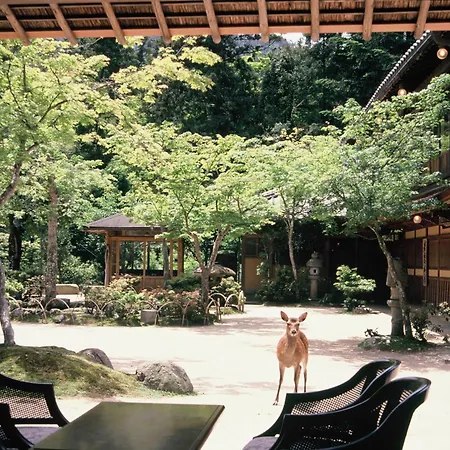 Iwaso-3