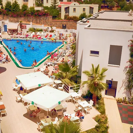 Club Shark Hotel-2