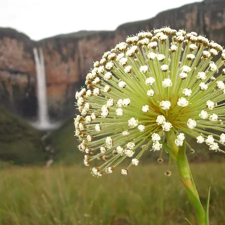 Pousada Tabuleiro Eco-2