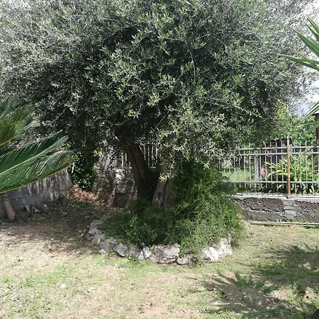 b&b bellavista-3