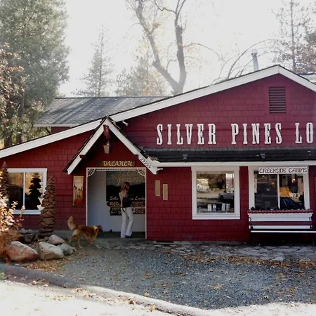 Silver Pines Lodge-2