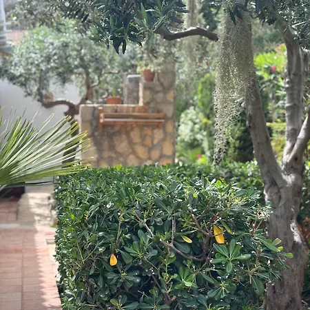 B&B Villa Alba-2