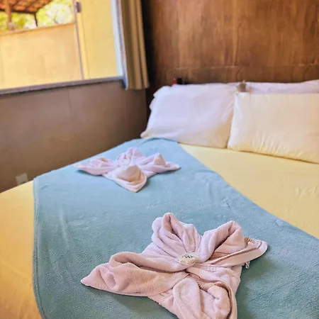 Mata Virgem Hostel e Pousada-3