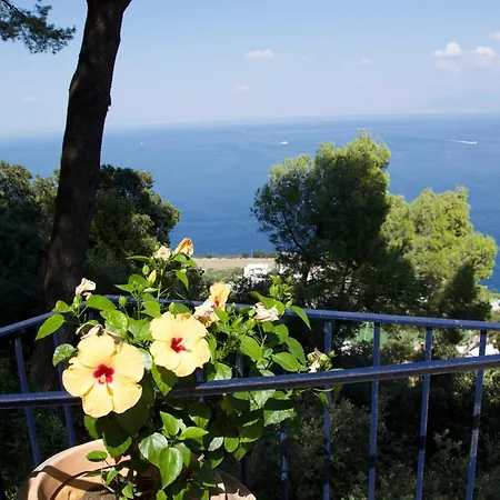 La Casa Nel Bosco-3