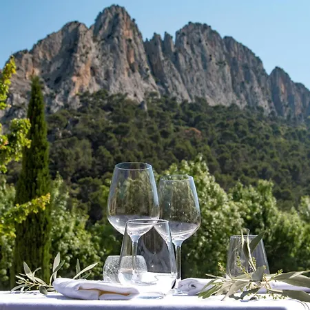 Domaine Saint Julien-2