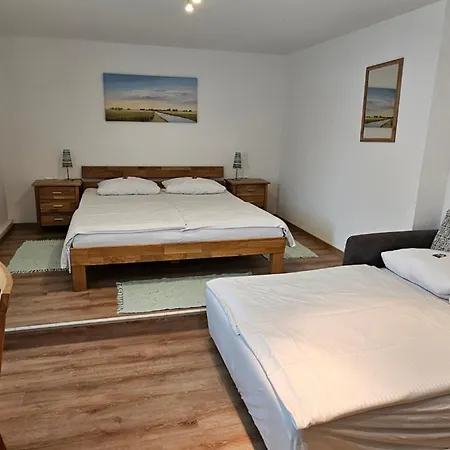 Hotel Hirsch-3
