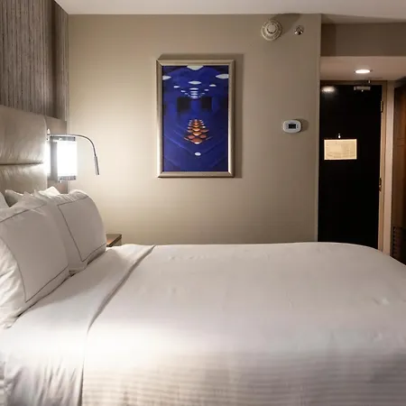Doubletree By Hilton Houston Brookhollow-3