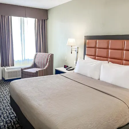 Quality Inn Tampa Airport - Cruise Port-2