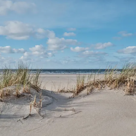 New Wave-2