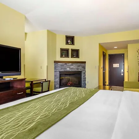 Comfort Inn Athens I - 75-2
