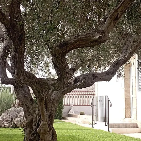 La casetta di viale Paradiso-3