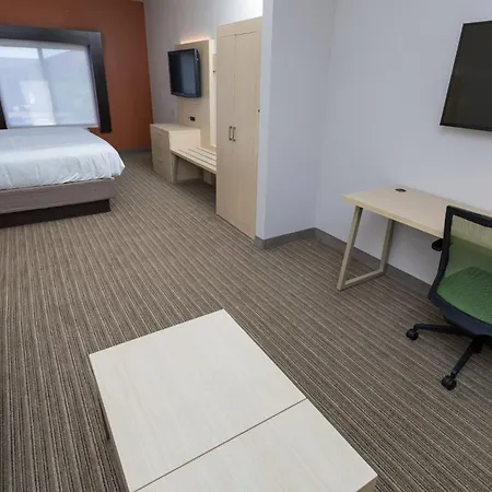 Holiday Inn Express Hotel & Suites Athens By Ihg-3