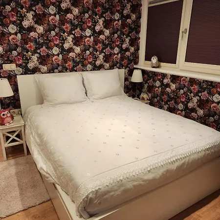 B&B De Drie Uiltjes-3