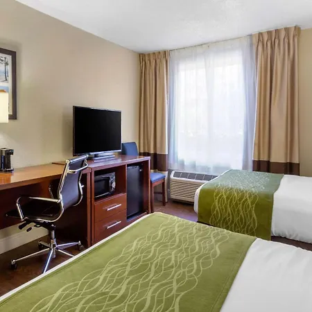 Comfort Inn St Petersburg North-3