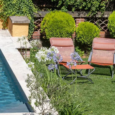 Le Rez de Jardin Albi-3