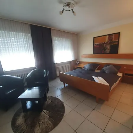 Hotel Zur Aue-3