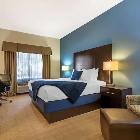 Best Western Plus Lytle Inn And Suites-2