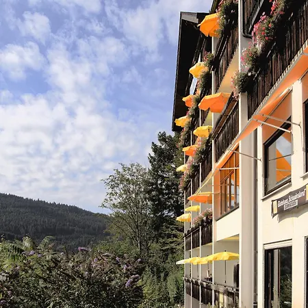 Hotel Schauinsland-3