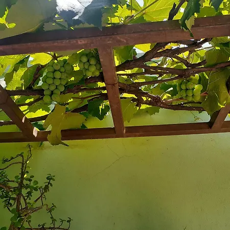 Hotel Vila Solar-2