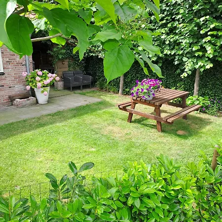Guesthouse Valkenswaard-2