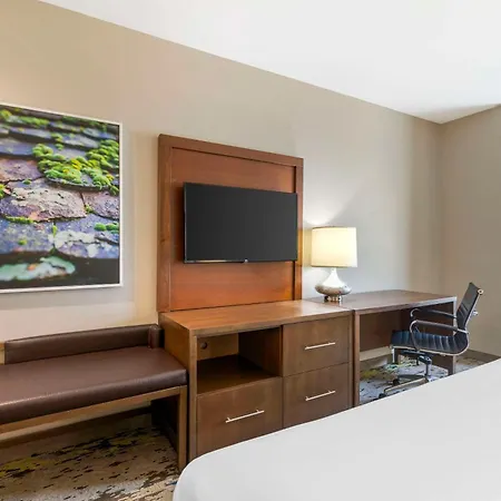 Comfort Inn & Suites Valdosta I-75-3