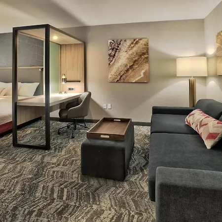 Springhill Suites Durango-2