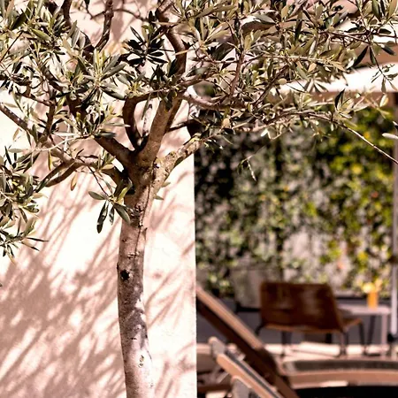 City Hotel Merano-3