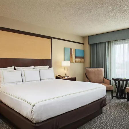 Doubletree By Hilton Orlando Theme Park Resort-3