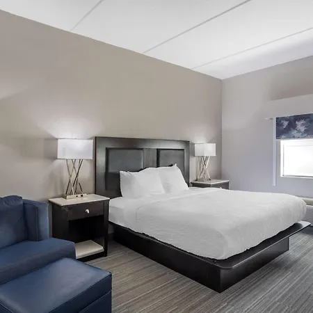 Best Western Plus Wilkes Barre-Scranton Airport Hotel-3