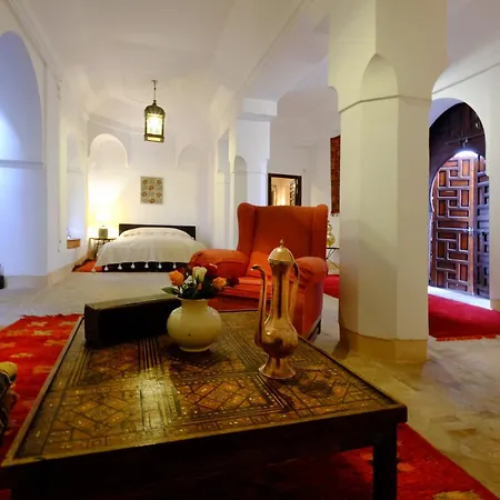 Riyad El Cadi-3