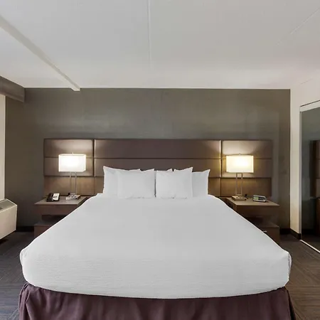 Best Western Plus Toronto Airport Hotel-2