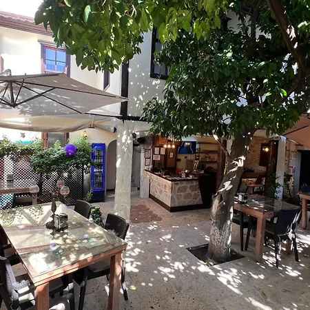 Villa Citronella Boutique Hotel-3